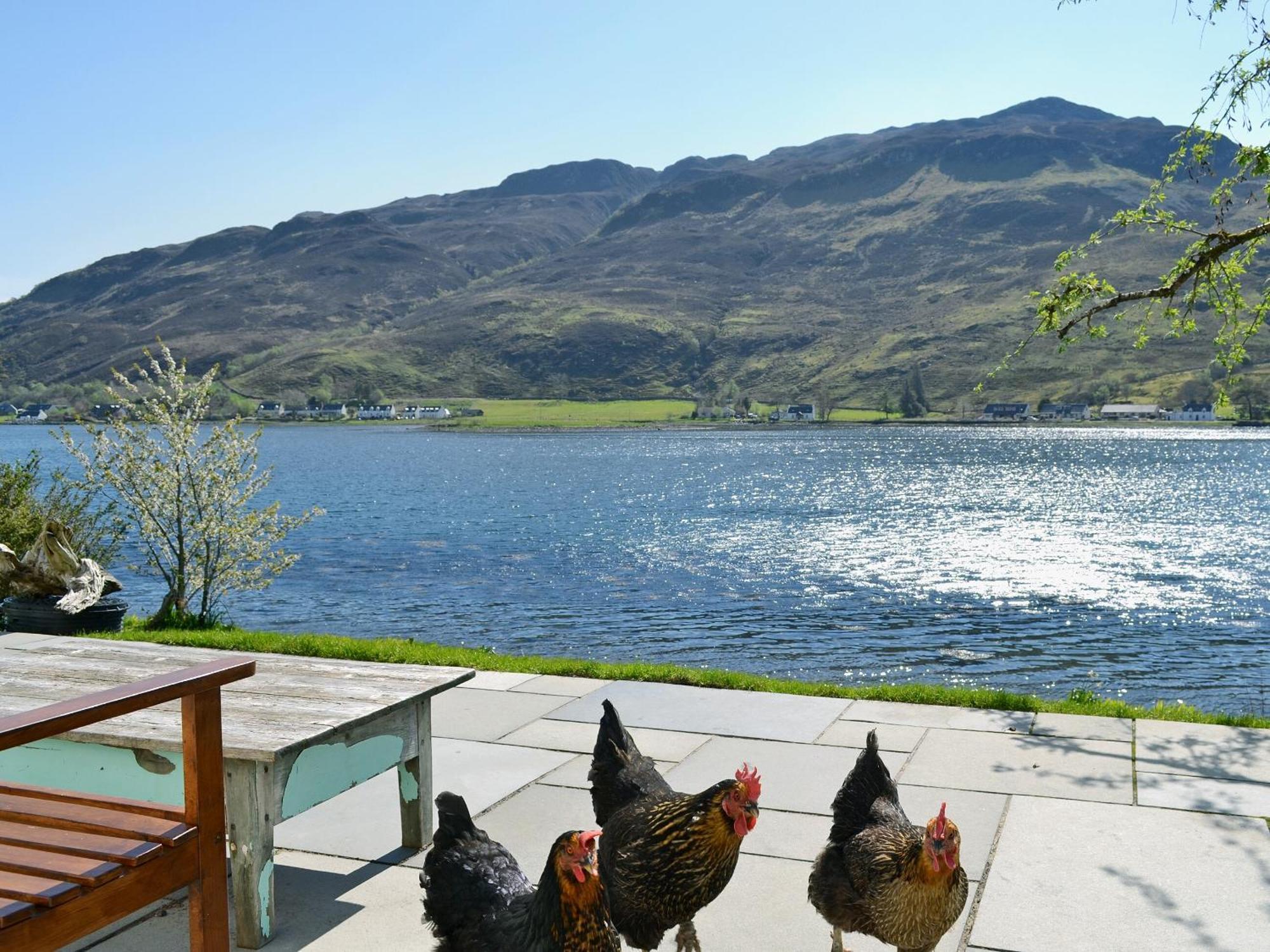 Loch Shore Cottage Dornie Exterior foto